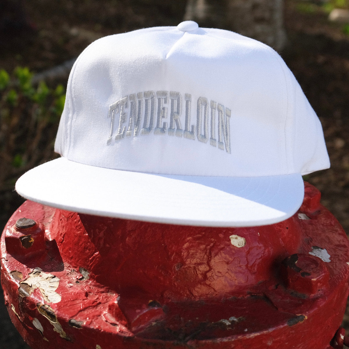 Tenderloin Arch Snapback Hat -- white